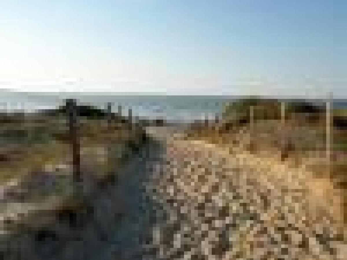 Appartement Cosy A 300M De L'Ocean Au Coeur De La Station - Balcon Et Parking Securise - Fr-1-239-144 Seignosse Buitenkant foto